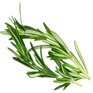 Ingredient - Rosemary Leaves