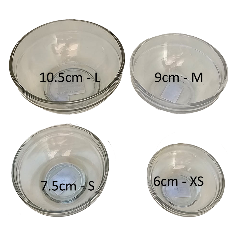 Glass Bowls Gp 800