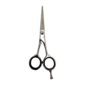 Paragon 5 Inch Scissor (HS-1202). Hair Salon Cutting Scissors. Stainless Steel.