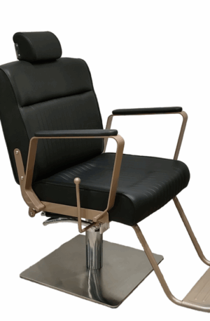 3195D1D Multi-purpose Reclining Chair