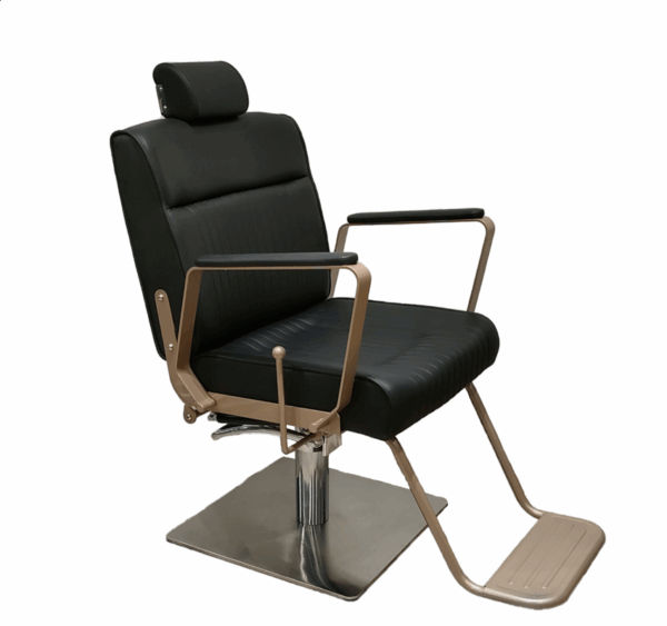 3195D1D Multi-purpose Reclining Chair