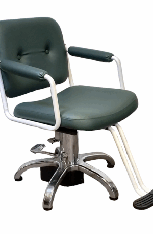 228EF Hairstyling Chair with Electric Pump