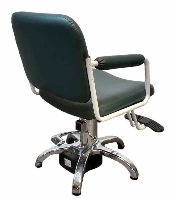 228EF Hairstyling Chair with Electric Pump - Image 2