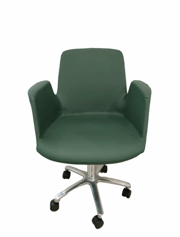 135GSP ArmChair - Image 6