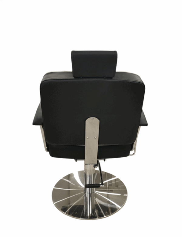 3193B1B Multi-purpose Reclining Chair - Image 5