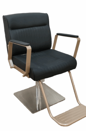 1001D1 Hairstyling Chair
