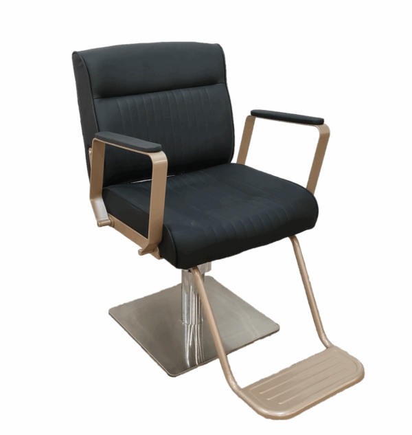 1001D1 Hairstyling Chair