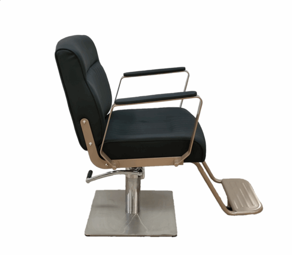 1001D1 Hairstyling Chair - Image 4