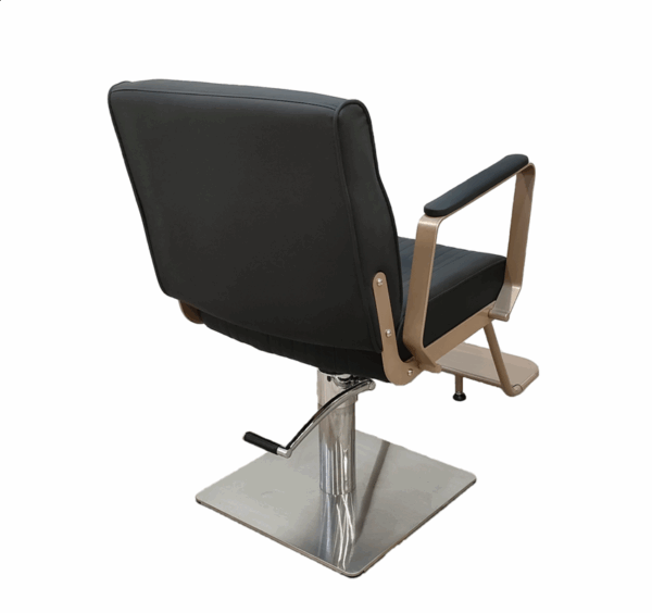 1001D1 Hairstyling Chair - Image 3