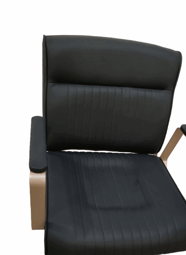 1001D1 Hairstyling Chair - Image 2